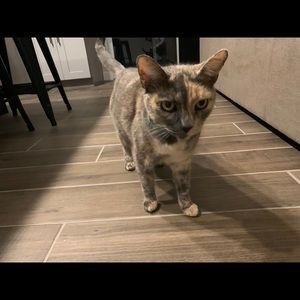 Meet your Posher, Danny